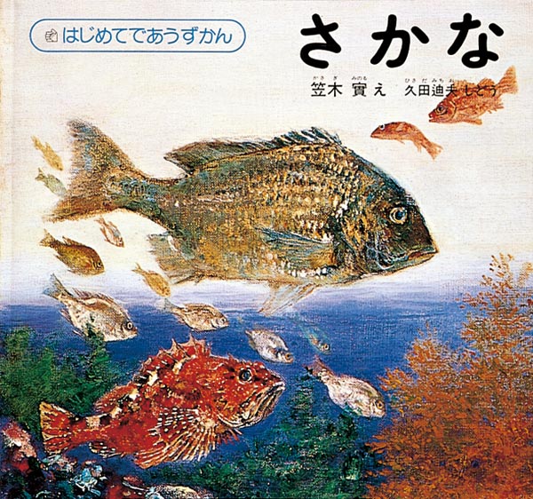 はじめてであうずかん 全5冊