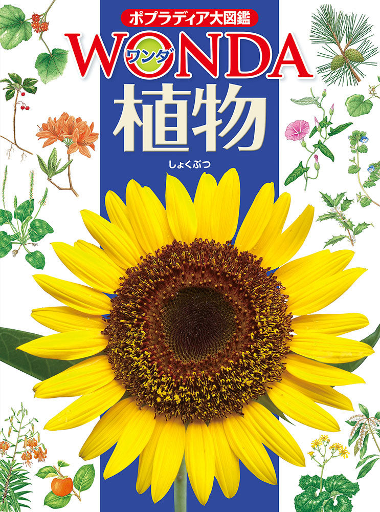 ポプラディア大図鑑 WONDA 植物-ポプラ社-図鑑 – こどもの本の童話館 ポプラディア大図鑑 WONDA 植物-ポプラ社-図鑑 – こどもの本の童話館