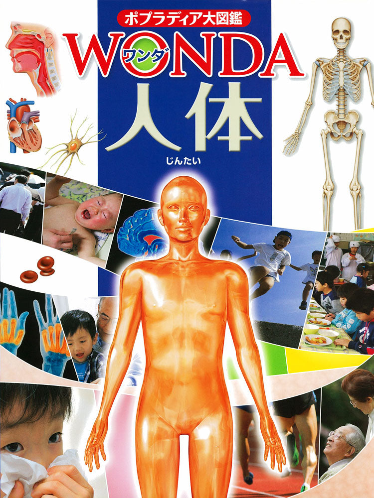 ポプラディア大図鑑ＷＯＮＤＡ（全３巻）  Ａ /ポプラ社（大型本） Amazon.co.jp: ポプラディア大図鑑「WONDA」(3巻セット)【昆虫・動物