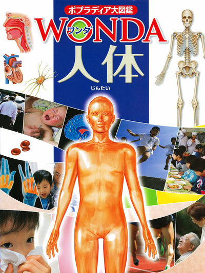 ポプラディア大図鑑 WONDA 人体