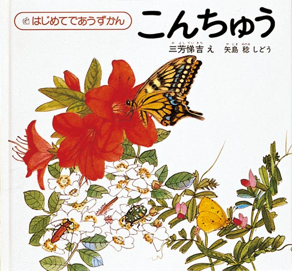 こんちゅう-福音館書店-絵本 – こどもの本の童話館公式オンラインショップ