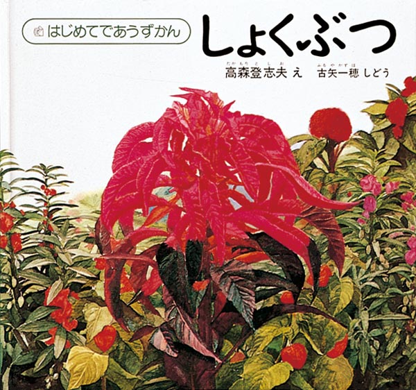 しょくぶつ-福音館書店-絵本 – こどもの本の童話館公式オンラインショップ