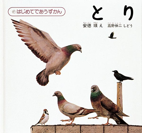 はじめてであうずかん　全５冊