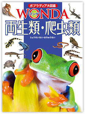 ポプラディア大図鑑 WONDA　両生類・爬虫類